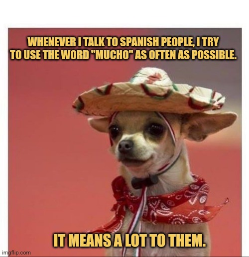 They Like It Mucho | WHENEVER I TALK TO SPANISH PEOPLE, I TRY TO USE THE WORD "MUCHO" AS OFTEN AS POSSIBLE. IT MEANS A LOT TO THEM. | image tagged in spanish dog,memes,animals,funny chihuahua,picture punches | made w/ Imgflip meme maker