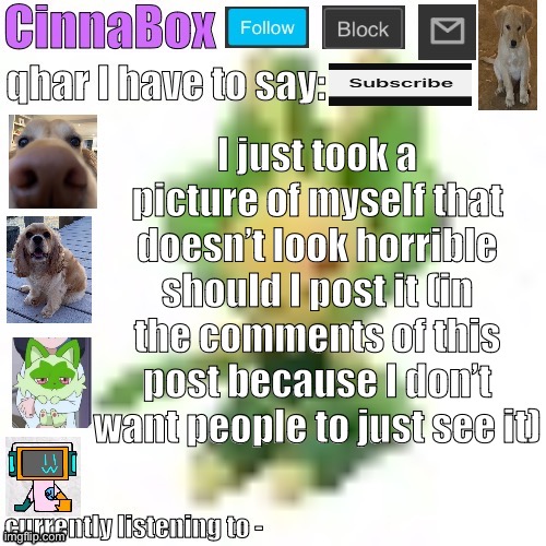 CinnaBox’s 144p Leavanny temp | I just took a picture of myself that doesn’t look horrible should I post it (in the comments of this post because I don’t want people to just see it) | image tagged in cinnabox s 144p leavanny temp | made w/ Imgflip meme maker
