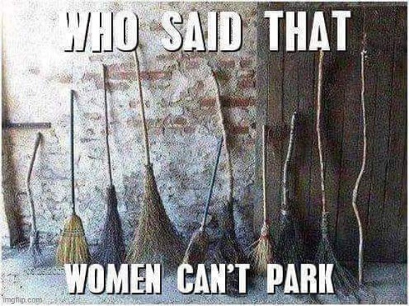 Women CAN Park | image tagged in repost | made w/ Imgflip meme maker