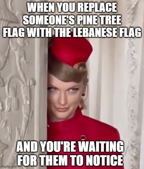 Sneaky-sneaky | WHEN YOU REPLACE SOMEONE'S PINE TREE FLAG WITH THE LEBANESE FLAG; AND YOU'RE WAITING FOR THEM TO NOTICE | image tagged in taylor swift smirk | made w/ Imgflip meme maker