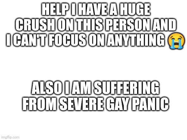 Help ;-; | HELP I HAVE A HUGE CRUSH ON THIS PERSON AND I CAN'T FOCUS ON ANYTHING 😭; ALSO I AM SUFFERING FROM SEVERE GAY PANIC | image tagged in gay panic | made w/ Imgflip meme maker