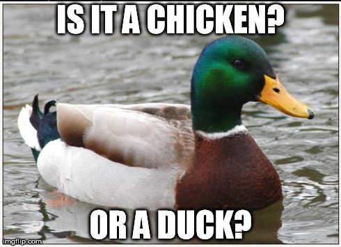 Actual Advice Mallard Meme | IS IT A CHICKEN? OR A DUCK? | image tagged in memes,actual advice mallard | made w/ Imgflip meme maker