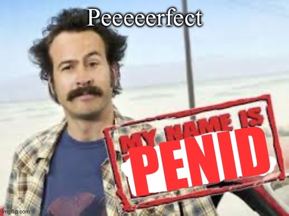 My name is penid | Peeeeerfect | image tagged in my name is penid | made w/ Imgflip meme maker