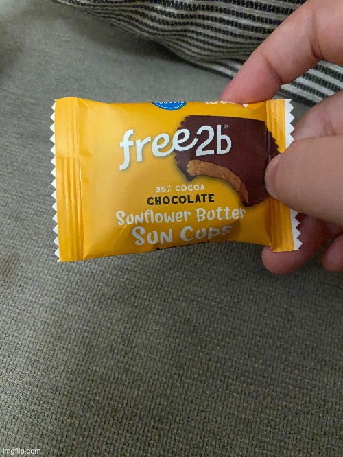 these things are really good (Reese’s cups if they were allergy friendly basically) | made w/ Imgflip meme maker