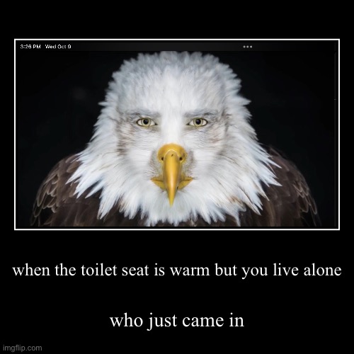 when the toilet seat is warm but you live alone | who just came in | image tagged in funny,demotivationals | made w/ Imgflip demotivational maker