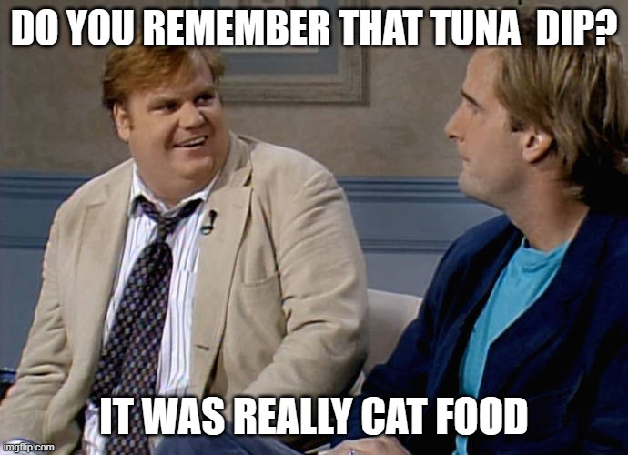 DO YOU REMEMBER THAT TUNA DIP?   IT WAS REALLY CAT FOOD | DO YOU REMEMBER THAT TUNA  DIP? IT WAS REALLY CAT FOOD | image tagged in chris farley | made w/ Imgflip meme maker