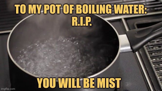 Next I'll Boil My Tears | TO MY POT OF BOILING WATER:
 R.I.P. YOU WILL BE MIST | image tagged in boiling water,memes,picture punches,philly clean freaks,cooking | made w/ Imgflip meme maker