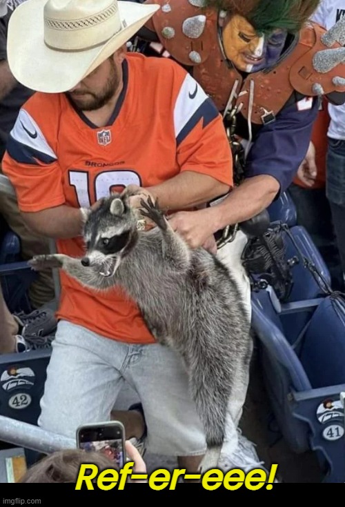 Raccoon Gets Forcibly Removed From Stadium | Ref-er-eee! | image tagged in funny memes,raccoon | made w/ Imgflip meme maker