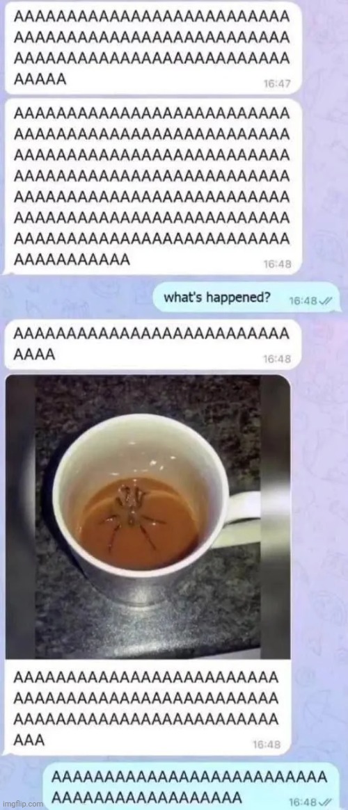 AAAAAAAAAAAAAAAAA | image tagged in aaaaaaaaaaaaaaaaaaaaaaaaaaa | made w/ Imgflip meme maker