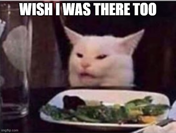 Wish I was there too | WISH I WAS THERE TOO | image tagged in white dinner table cat | made w/ Imgflip meme maker