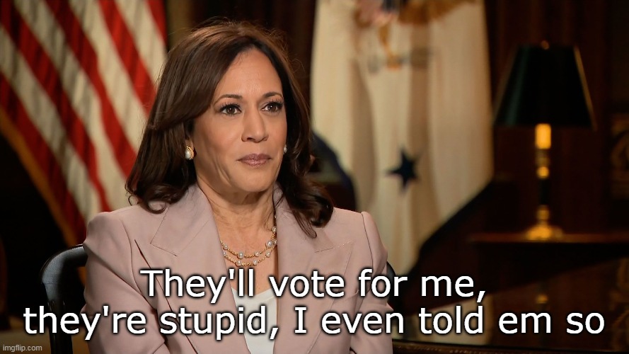 They'll vote for me, they're stupid, I even told em so | made w/ Imgflip meme maker