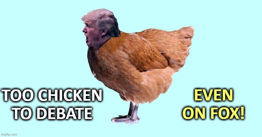 TOO CHICKEN TO DEBATE; EVEN ON FOX! | image tagged in trump,chicken,snowflake,weak,fear,debate | made w/ Imgflip meme maker