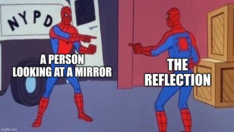 Cool | A PERSON LOOKING AT A MIRROR; THE REFLECTION | image tagged in spiderman pointing at spiderman | made w/ Imgflip meme maker