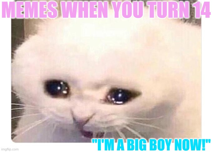 14 yr old girls | MEMES WHEN YOU TURN 14 "I'M A BIG BOY NOW!" | image tagged in 14 yr old girls | made w/ Imgflip meme maker