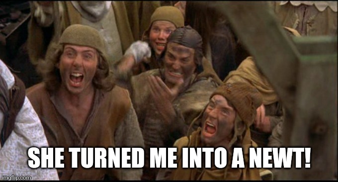 Monty Python witch | SHE TURNED ME INTO A NEWT! | image tagged in monty python witch | made w/ Imgflip meme maker