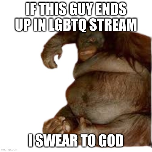 Put him everywhere else tho | IF THIS GUY ENDS UP IN LGBTQ STREAM; I SWEAR TO GOD | image tagged in banana | made w/ Imgflip meme maker