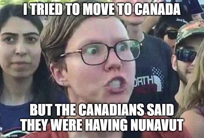 Triggered Liberal | I TRIED TO MOVE TO CANADA BUT THE CANADIANS SAID THEY WERE HAVING NUNAVUT | image tagged in triggered liberal | made w/ Imgflip meme maker