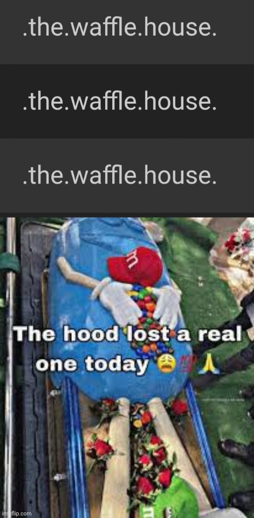 image tagged in the hood lost a real one today | made w/ Imgflip meme maker