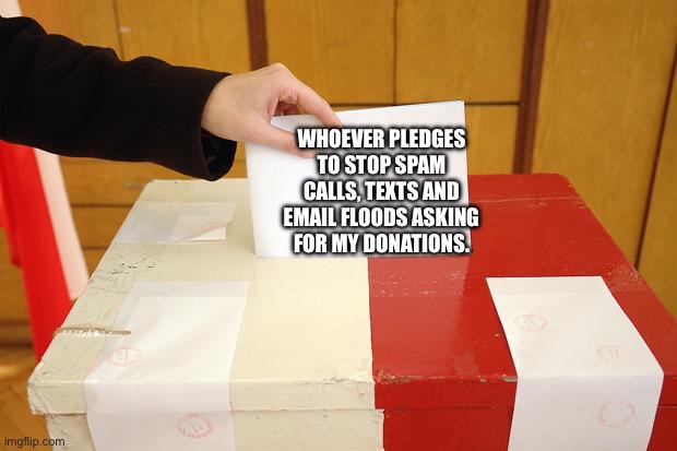 Agreed? | WHOEVER PLEDGES TO STOP SPAM CALLS, TEXTS AND EMAIL FLOODS ASKING FOR MY DONATIONS. | image tagged in vote | made w/ Imgflip meme maker