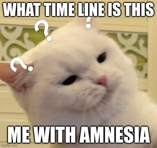 cat confused | WHAT TIME LINE IS THIS; ME WITH AMNESIA | image tagged in cat confused | made w/ Imgflip meme maker