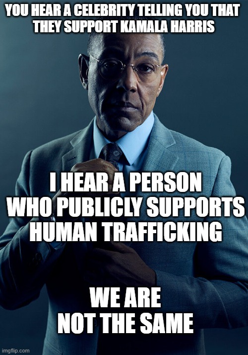 How Does She Benefit From Open Borders? | YOU HEAR A CELEBRITY TELLING YOU THAT 
THEY SUPPORT KAMALA HARRIS; I HEAR A PERSON WHO PUBLICLY SUPPORTS HUMAN TRAFFICKING; WE ARE NOT THE SAME | image tagged in gus fring we are not the same | made w/ Imgflip meme maker