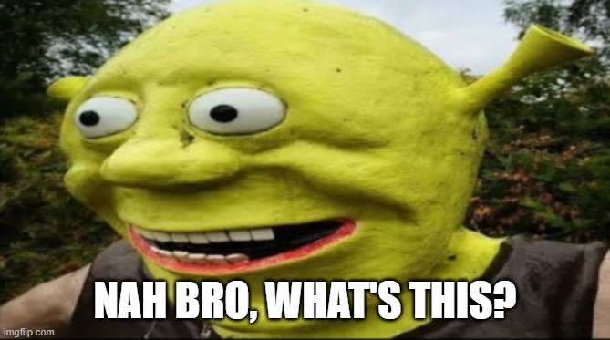 shrek nah bro | NAH BRO, WHAT'S THIS? | image tagged in shrek nah bro | made w/ Imgflip meme maker