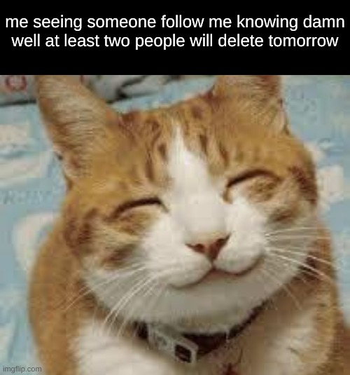 me seeing someone follow me knowing damn well at least two people will delete tomorrow | made w/ Imgflip meme maker