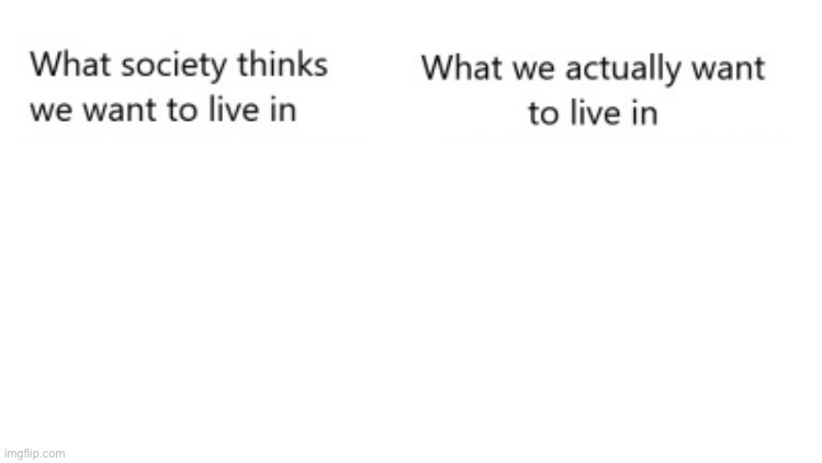 What society thinks we want to live in Vs What we actually want Blank Meme Template