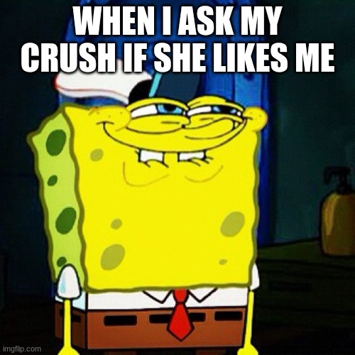 Asking Your Crush... | WHEN I ASK MY CRUSH IF SHE LIKES ME | image tagged in you like krabby patties don't you squidward | made w/ Imgflip meme maker