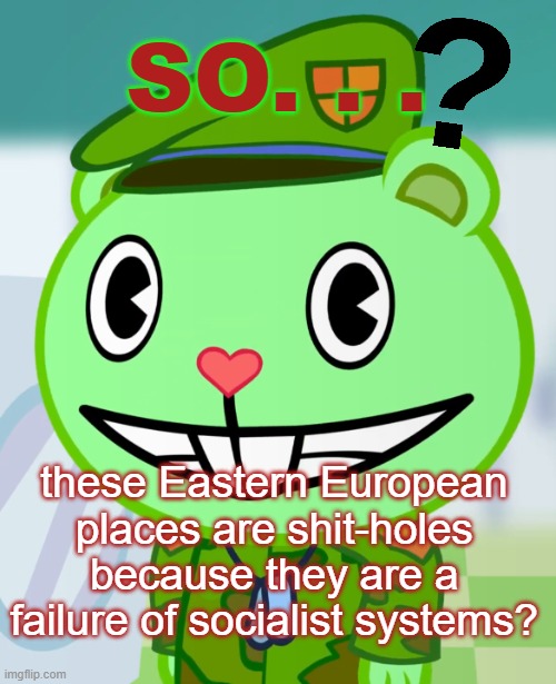 Flippy Smiles (HTF) | SO. . . these Eastern European places are shit-holes because they are a failure of socialist systems? | image tagged in flippy smiles htf | made w/ Imgflip meme maker