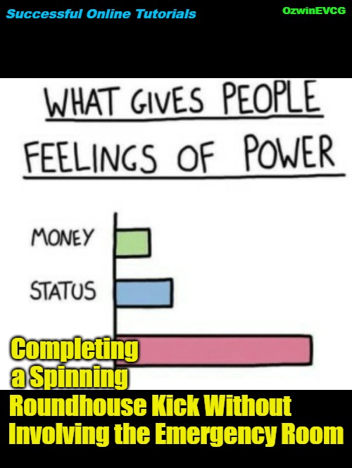 [3] (SOT) [3] | OzwinEVCG; Successful Online Tutorials; Completing                                           

a Spinning                                             

Roundhouse Kick Without           

Involving the Emergency Room | image tagged in what gives people feelings of power,youtube,tutorial,emergencies,success,martial arts | made w/ Imgflip meme maker