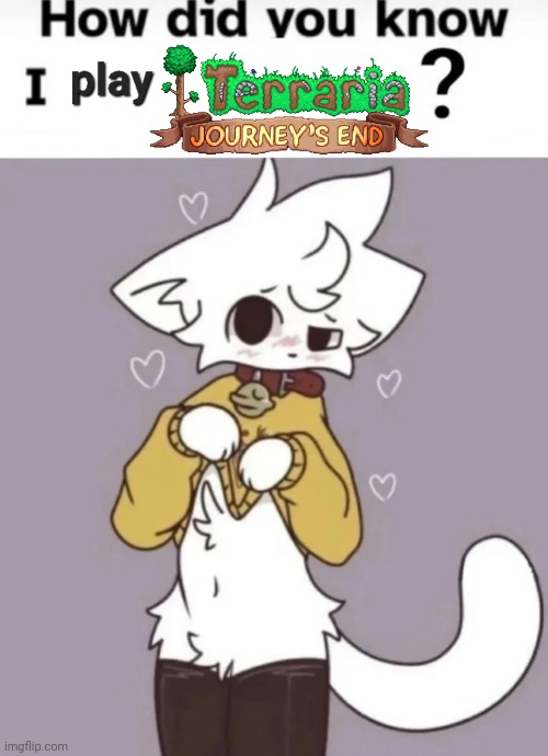 I have never met a terraria player that isn't a twink | made w/ Imgflip meme maker