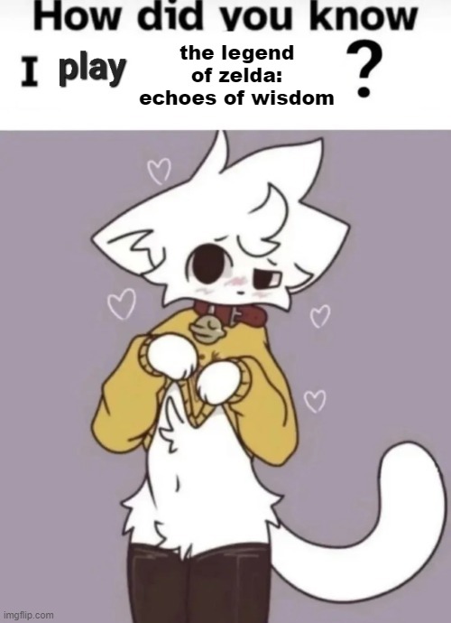 How did you know I play X? | the legend of zelda: echoes of wisdom | image tagged in how did you know i play x | made w/ Imgflip meme maker