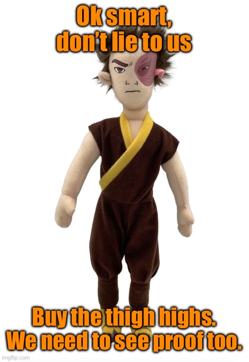 Zuko plush | Ok smart, don’t lie to us; Buy the thigh highs. We need to see proof too. | image tagged in zuko plush | made w/ Imgflip meme maker