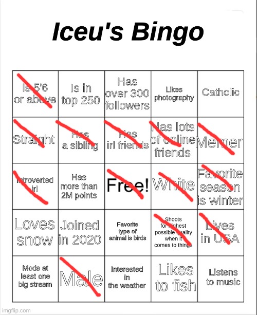 Iceu's Bingo | image tagged in iceu's bingo | made w/ Imgflip meme maker