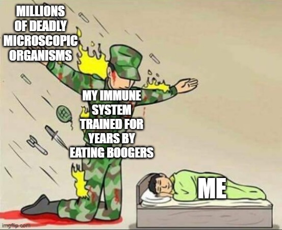 literally me | MILLIONS OF DEADLY MICROSCOPIC ORGANISMS; MY IMMUNE SYSTEM TRAINED FOR YEARS BY EATING BOOGERS; ME | image tagged in soldier protecting sleeping child,funny,memes,funny memes | made w/ Imgflip meme maker