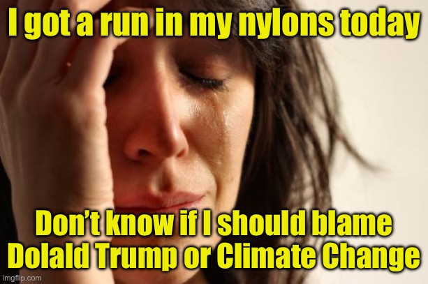 First world problems for Democrats | I got a run in my nylons today; Don’t know if I should blame Dolald Trump or Climate Change | image tagged in memes,first world problems | made w/ Imgflip meme maker