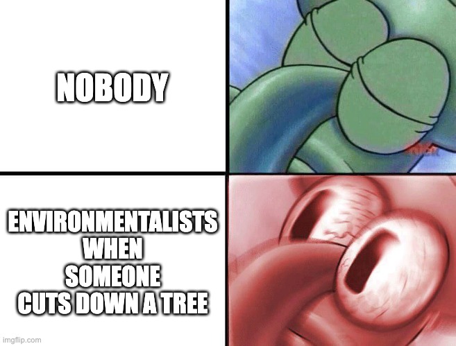 sleeping Squidward | NOBODY; ENVIRONMENTALISTS WHEN SOMEONE CUTS DOWN A TREE | image tagged in sleeping squidward | made w/ Imgflip meme maker