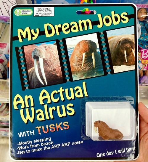 An Actual Walrus | image tagged in funny memes,fake products,obvious plant | made w/ Imgflip meme maker