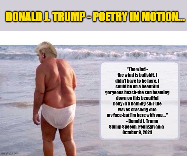 "Very Deep Thoughts" From Your Favorite President... | DONALD J. TRUMP - POETRY IN MOTION... "The wind - the wind is bullshit. I didn't have to be here. I could be on a beautiful gorgeous beach-the sun beaming down on this beautiful body in a bathing suit-the waves crashing into my face-but I'm here with you...."
             - Donald J. Trump 
Stump Speech, Pennsylvania  
October 9, 2024 | image tagged in donald trump memes,donald trump the clown,donald trump is an idiot,political humor | made w/ Imgflip meme maker