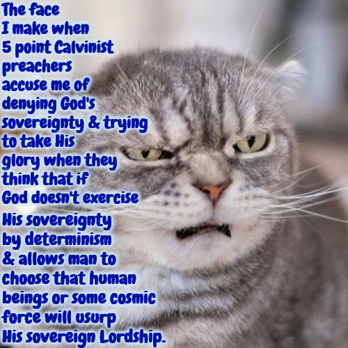 This Fear Is Impossible | The face I make when 5 point Calvinist preachers accuse me of denying God's sovereignty & trying to take His glory when they think that if God doesn't exercise; His sovereignty by determinism & allows man to choose that human beings or some cosmic force will usurp His sovereign Lordship. | image tagged in calvinism,arminian,molinism,irrational fear,he doesn't need a pr agaent,that's impossible | made w/ Imgflip meme maker