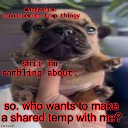 pug temp | so. who wants to make a shared temp with me? | image tagged in pug temp | made w/ Imgflip meme maker