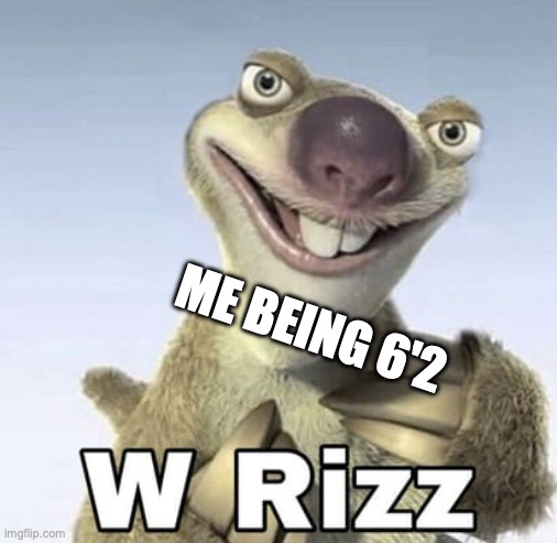 w rizz | ME BEING 6'2 | image tagged in w rizz | made w/ Imgflip meme maker