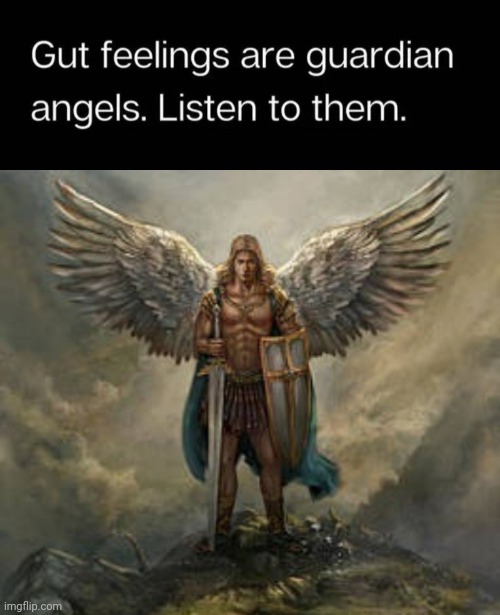 Gut feelings are guardian angels | image tagged in st michael w sword,angels | made w/ Imgflip meme maker