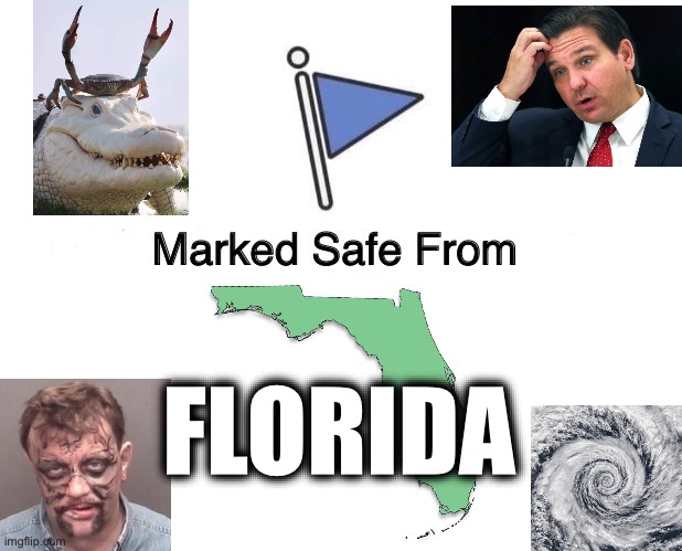 Marked Safe from Florida | FLORIDA | image tagged in marked safe from,florida man,florida,alligators,hurricane,milton | made w/ Imgflip meme maker