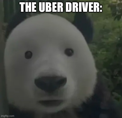 THE UBER DRIVER: | made w/ Imgflip meme maker