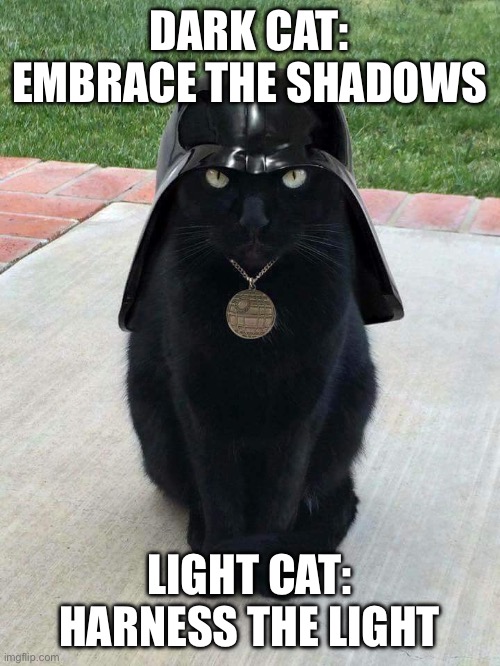 First meme on dark cat | DARK CAT: EMBRACE THE SHADOWS; LIGHT CAT: HARNESS THE LIGHT | image tagged in dark cat | made w/ Imgflip meme maker