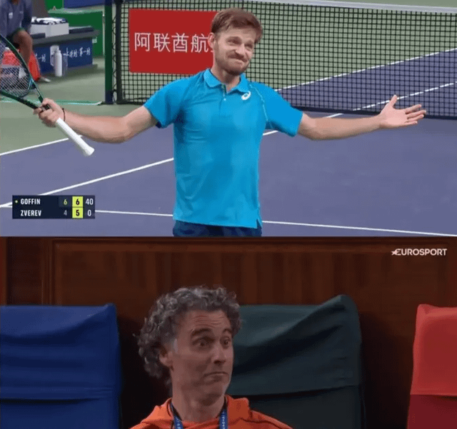 Goffin reaction Blank Meme Template