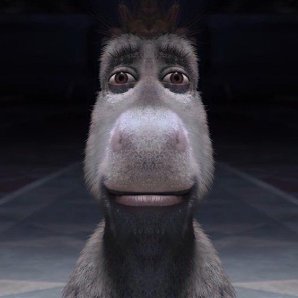 Donkey Staring Blank Meme Template