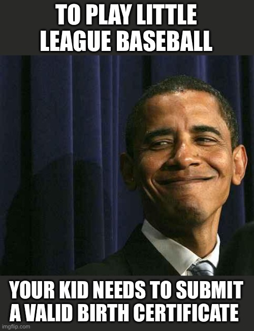 obama smug face | TO PLAY LITTLE LEAGUE BASEBALL YOUR KID NEEDS TO SUBMIT A VALID BIRTH CERTIFICATE | image tagged in obama smug face | made w/ Imgflip meme maker